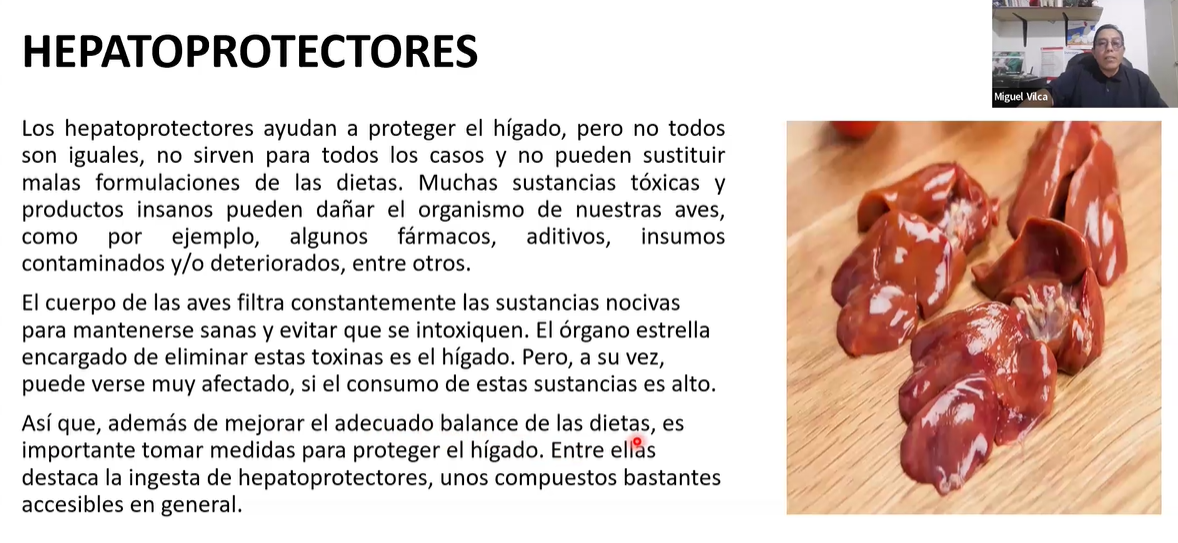  ESTRATEGIAS MODERNAS PARA LA SALUD Y PRODUCCIÓN EFICIENTE DE POLLOS